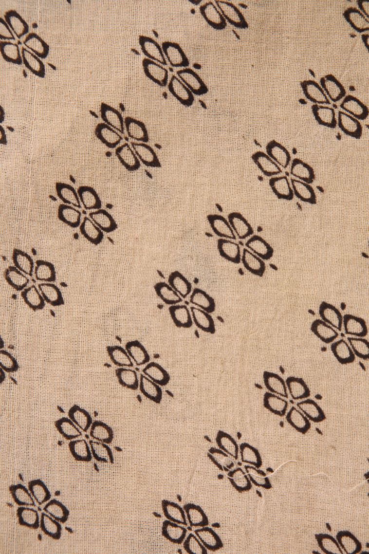 Vanilla Custard Yellow Kalamkari with Without Zari Zari Animal And Bird Motifs view 3