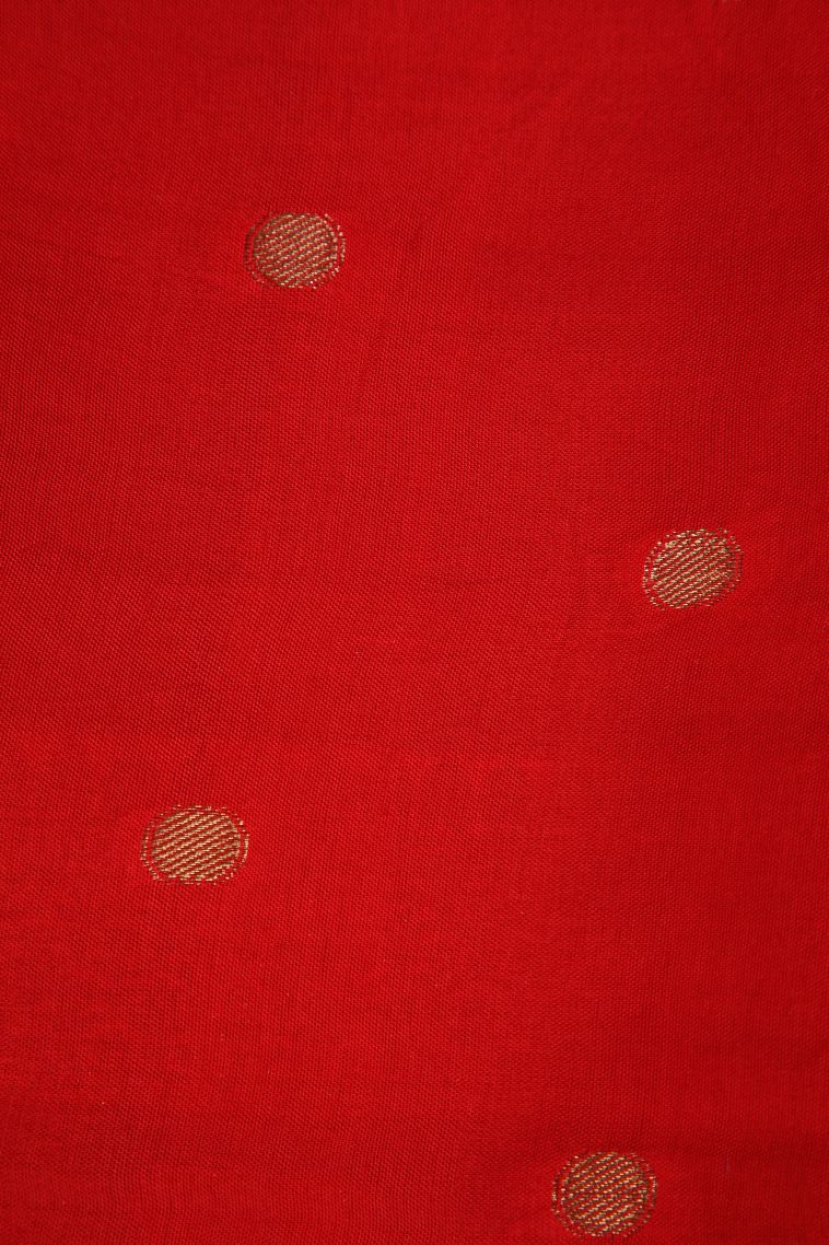 Lapis Blue Fancy Saree with Gold Zari Temple Pattern view 3