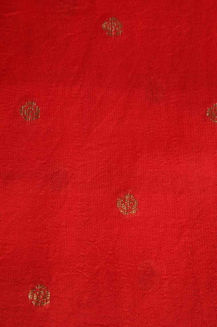 Ivory White Banaras Sarees with Antic Zari Animal  Mottif view 3