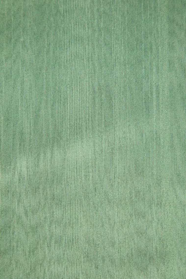 Pistachio Green Semi Tussar Silk with Without Zari Zari Floral Patterns view 3