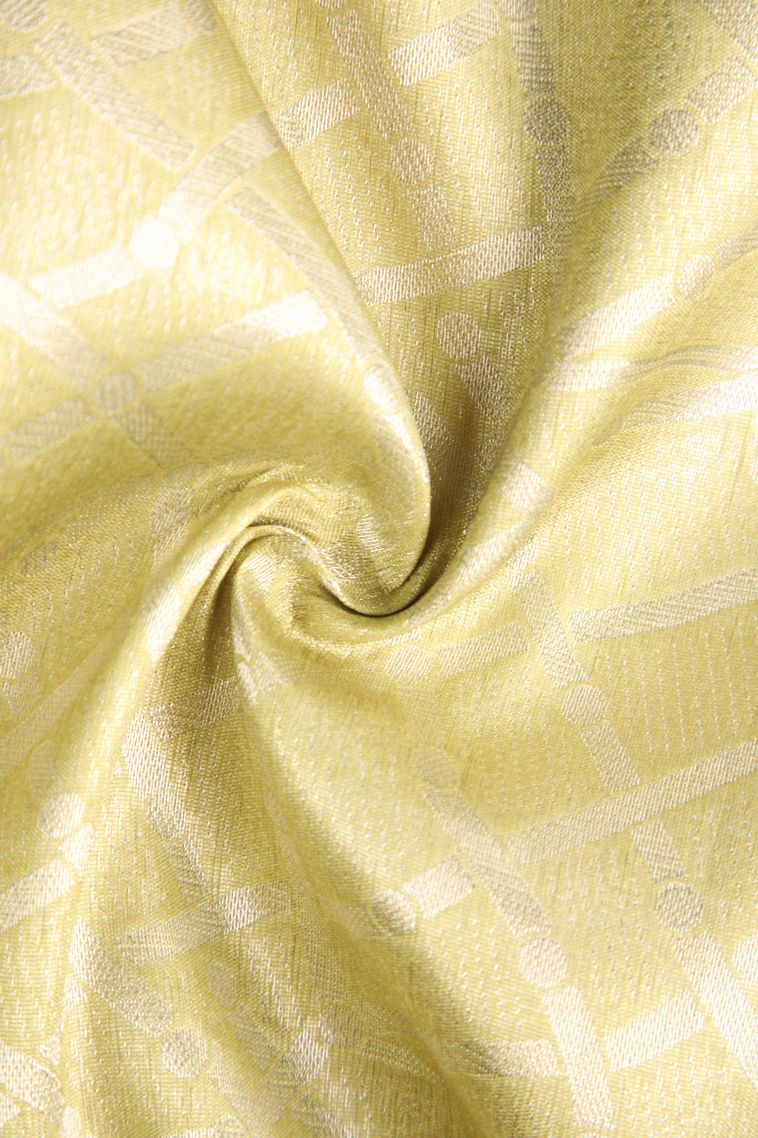 Macaroon Yellow Tussar Saree with Antic Zari Jamandery Pattern view 4