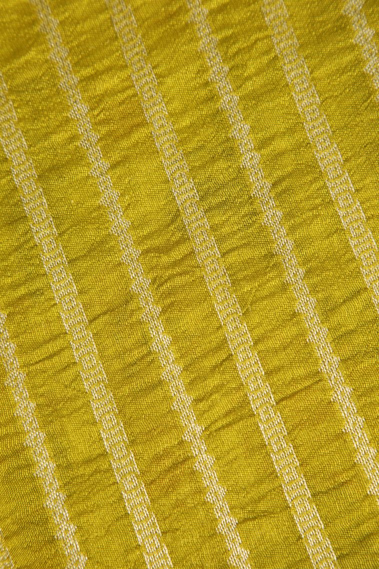 Lime Yellow Banaras Sarees with Silver Zari Birds And Floral Pattern view 3