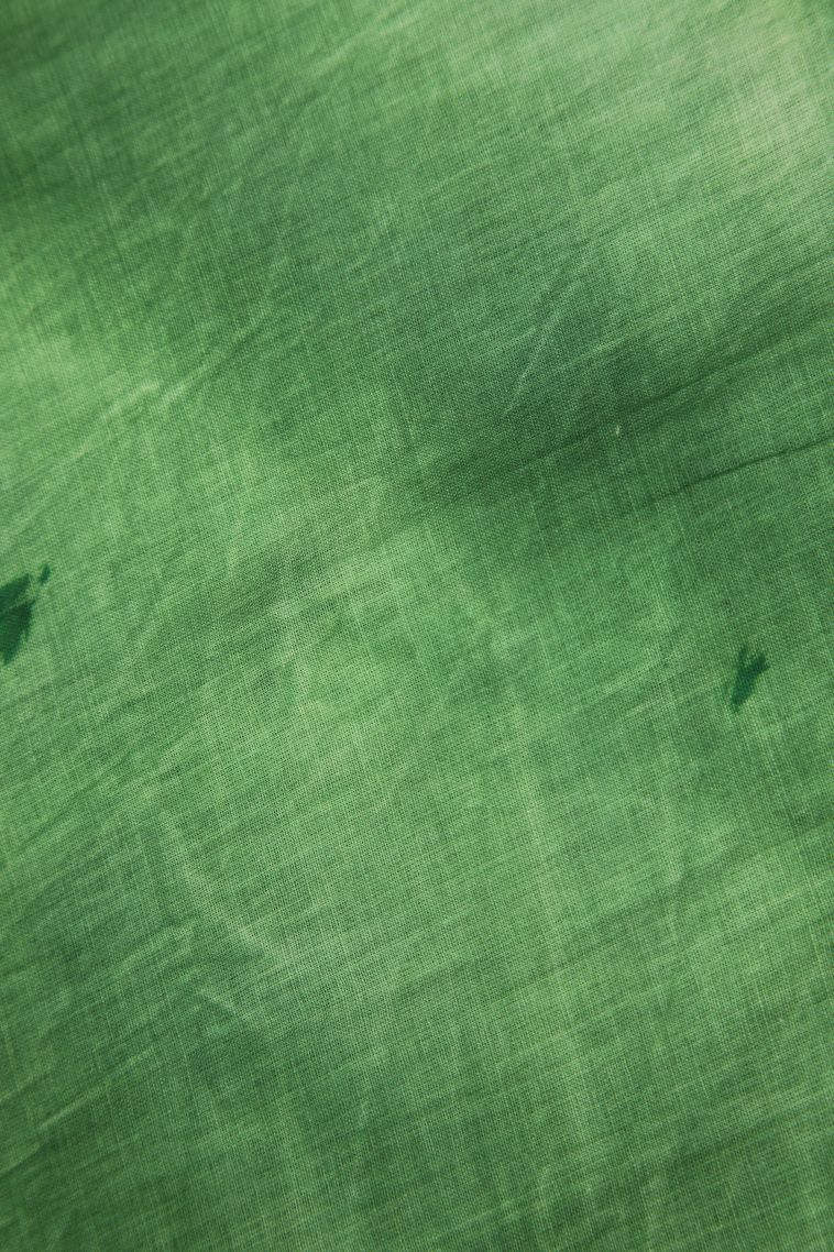 Fern Green Mul Mul Cotton with Without Zari Zari Pathik Motifs view 3