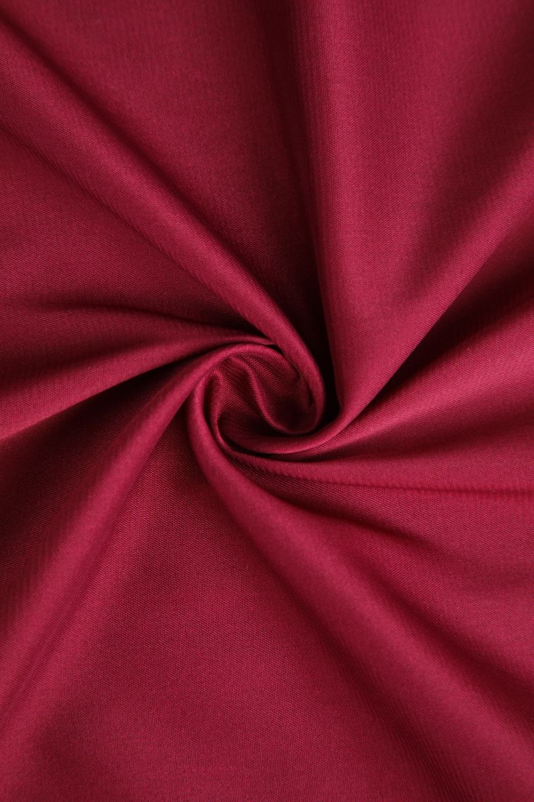 Cherry  Red Fancy Saree with Gold Zari Plain view 4