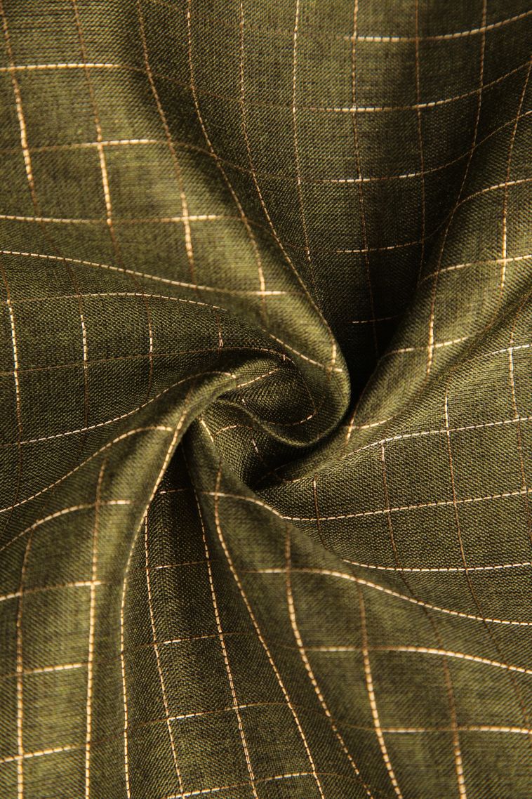 Pickle Green Jute Sarees with Gold Zari Checks view 4