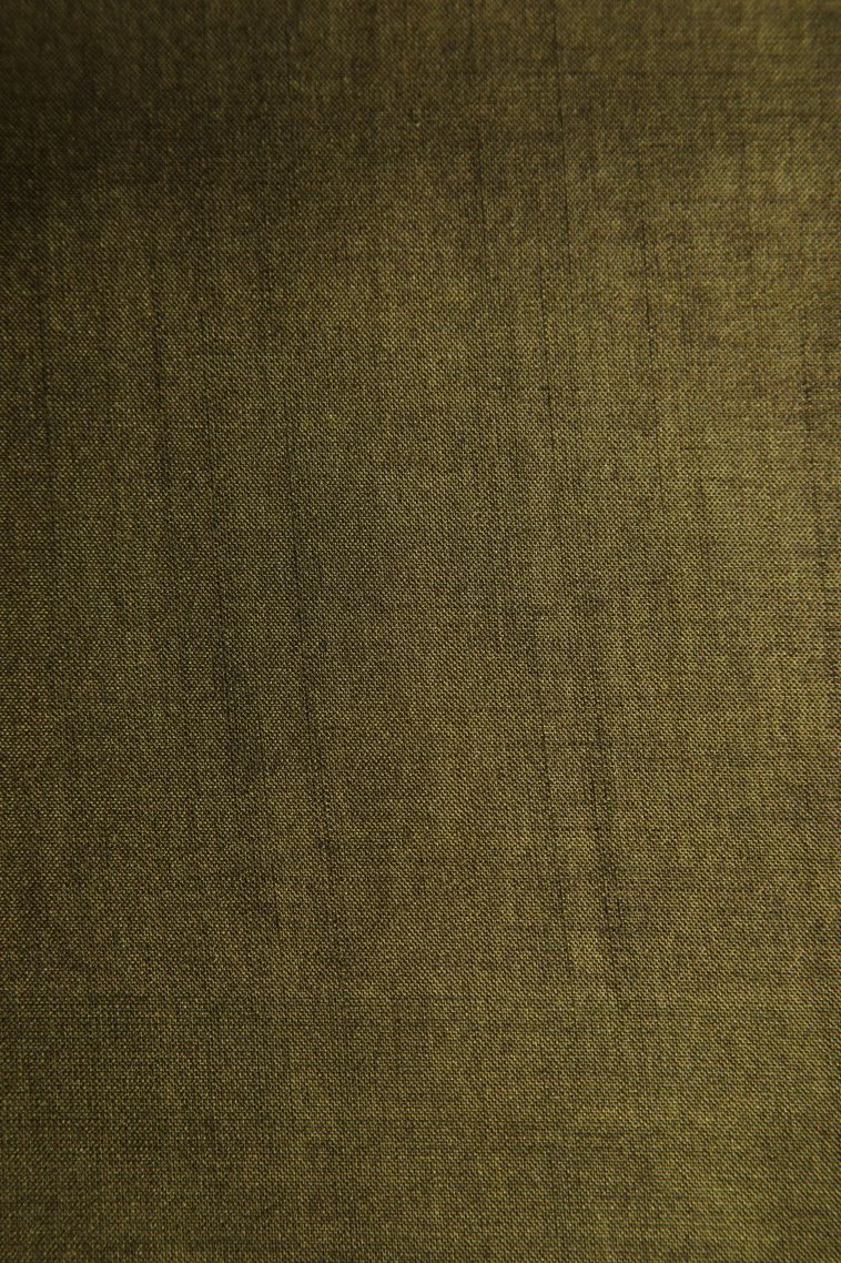Pickle Green Jute Sarees with Gold Zari Checks view 3