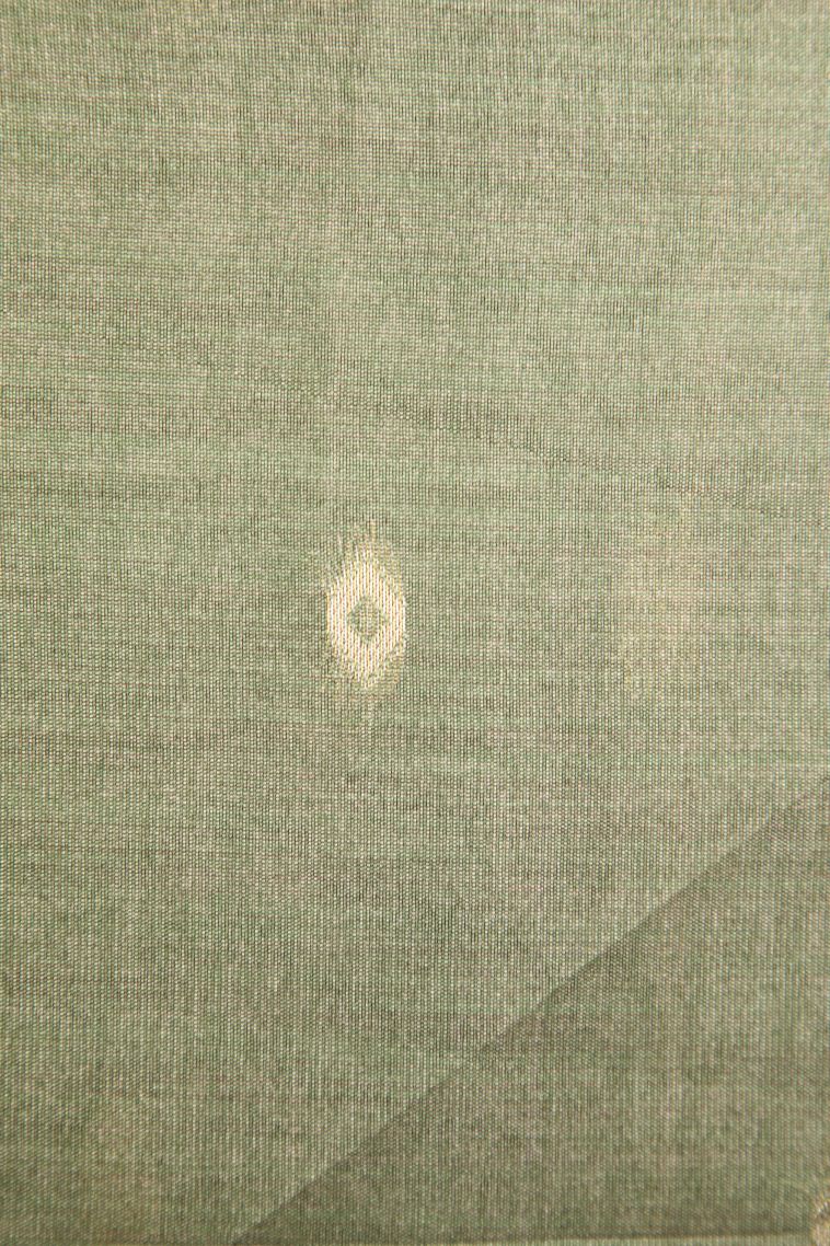 Pistachio Green Tussar Saree with Antic Zari Floral Puttas view 3