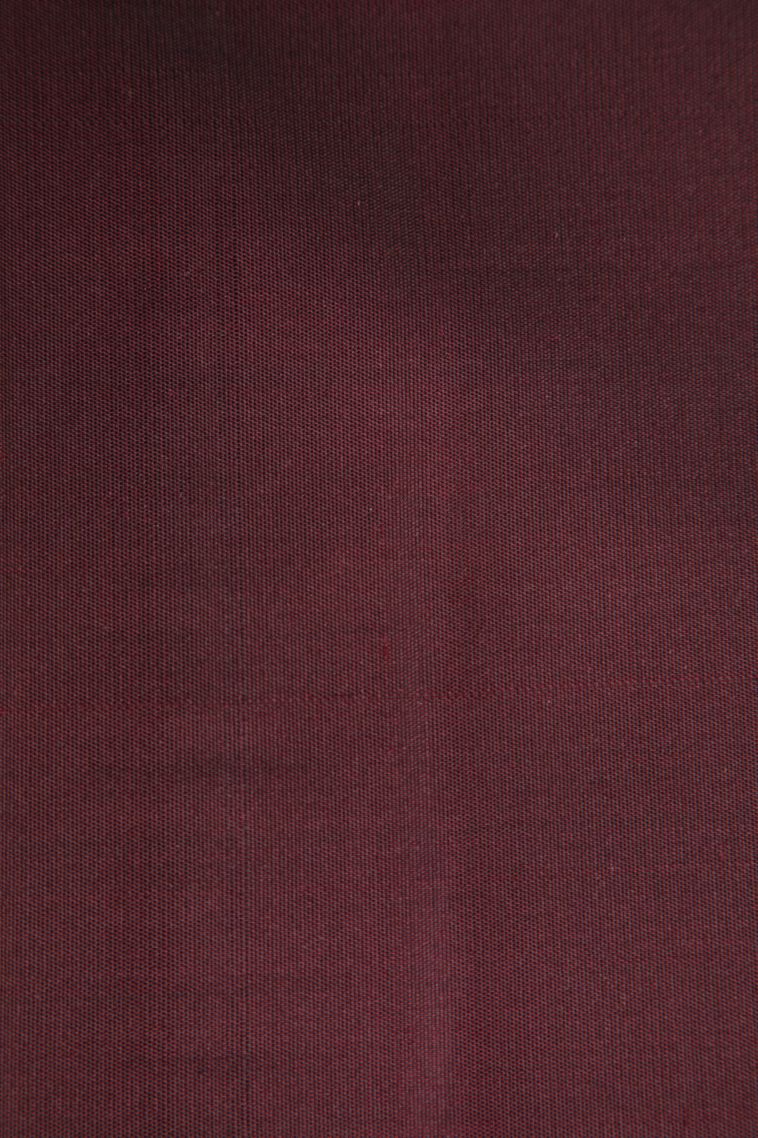 Bindi Red Kanchipuram Silk Sarees with Gold Zari Birds Mottif view 3
