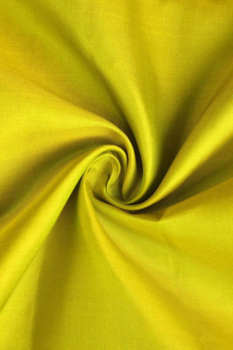Lime Green Soft Silk Saree with Gold Zari Floral Puttas view 4