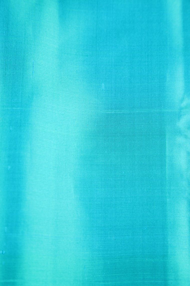 Sapphire Blue Soft Silk Saree with Gold Zari Buttis (small Dots Or Motifs) view 3