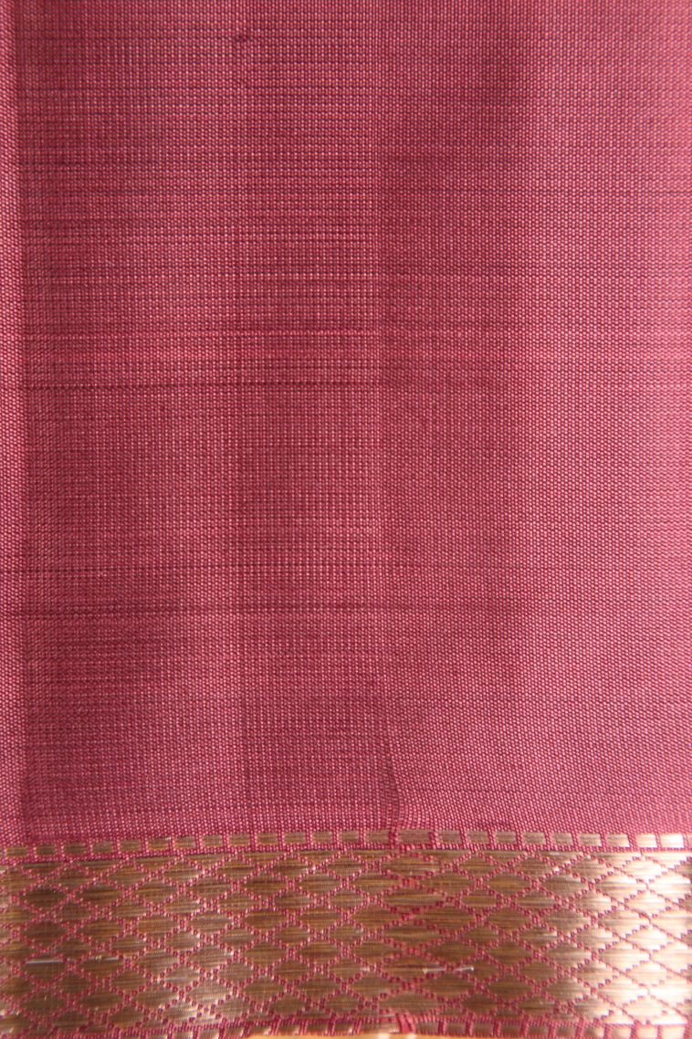Arctic Blue Soft Silk Saree with Gold And Silver Zari Birds And Floral Pattern view 3