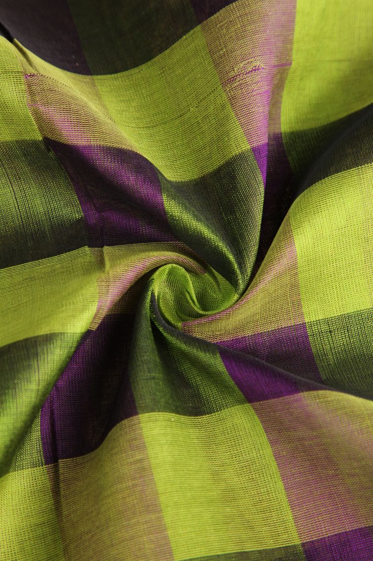 Lime Green Silk Cotton with Gold Zari Checks view 4