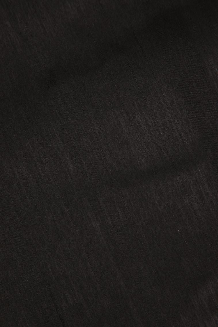 Charleston Black Semi Tussar Silk with Without Zari Zari Embroidary view 3