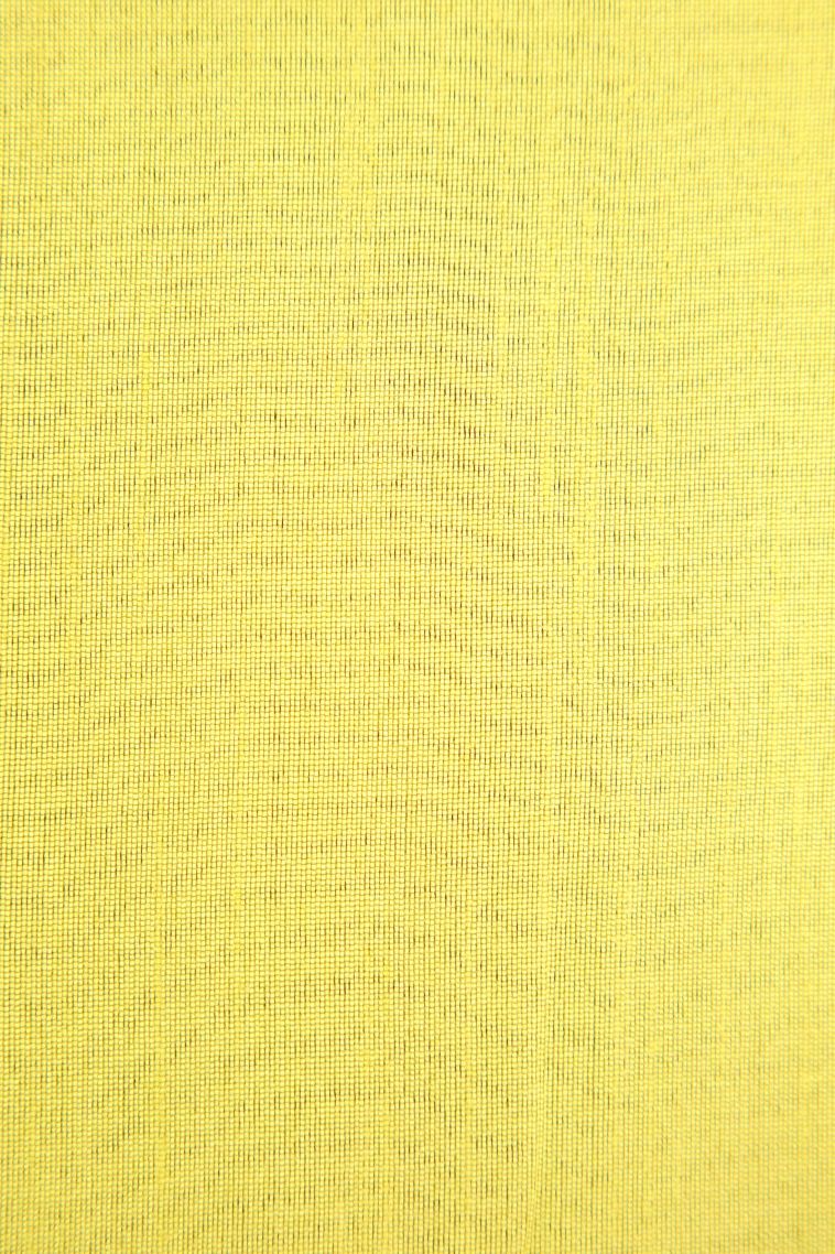 Parmesean Yellow Jute Sarees with Thread Zari Thred Weaving view 3