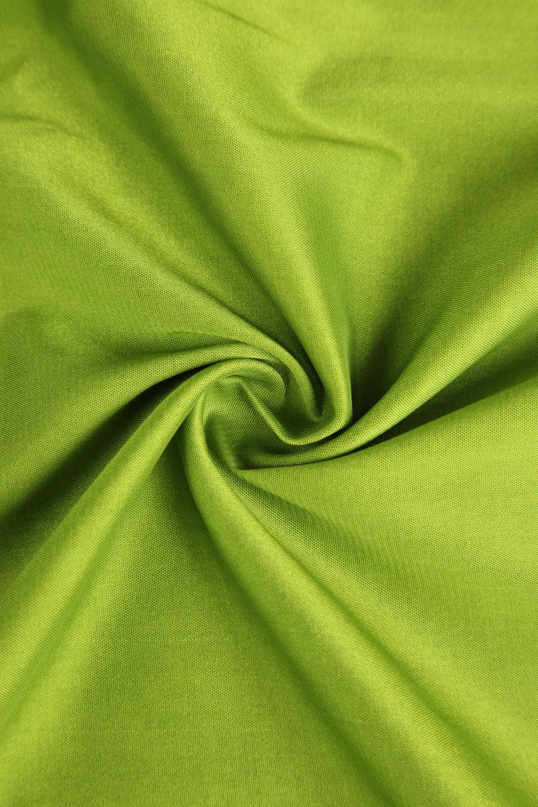 Lime Green Fancy Saree with Gold Zari Plain view 4