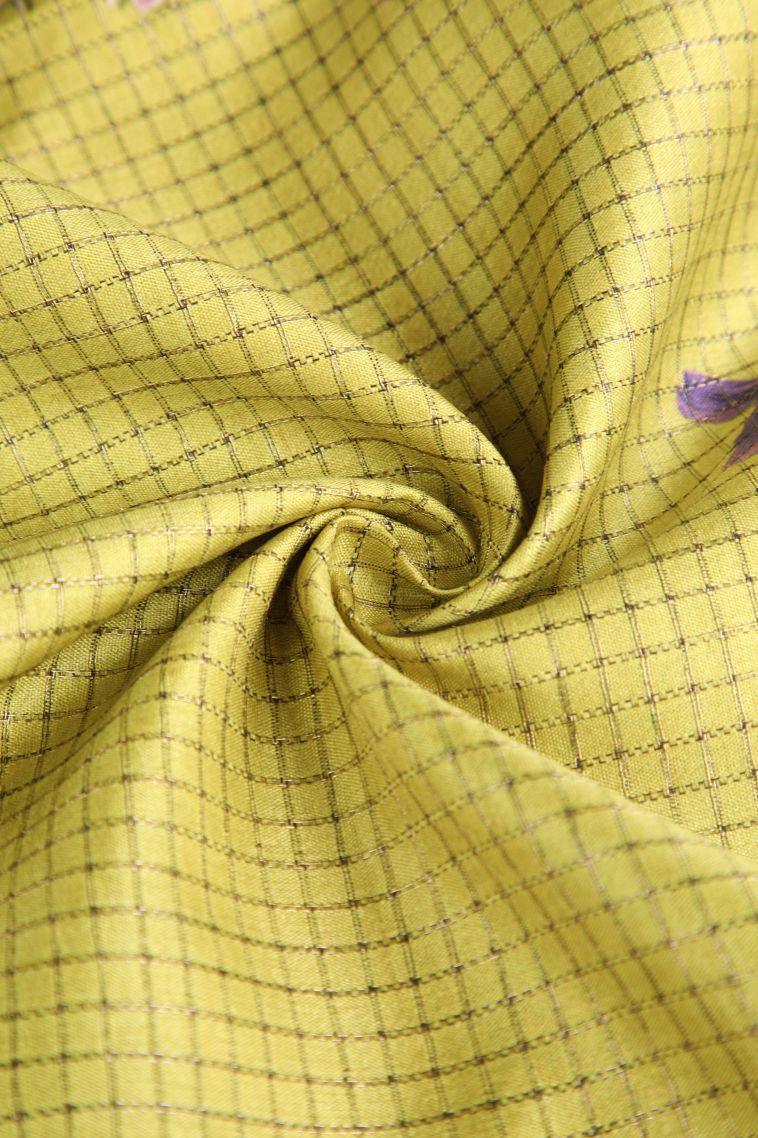 Lime Green Semi Tussar Silk with Gold And Silver Zari Checks view 4