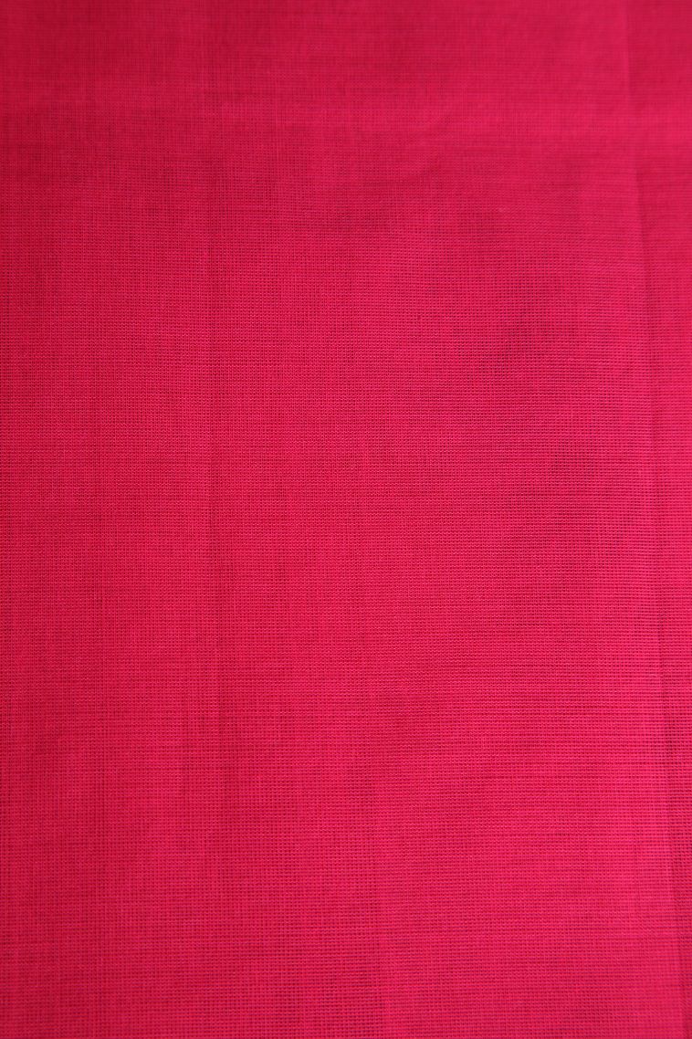 Pear Green Pure Handloom Kovai Cotton with Without Zari Zari Floral Patterns view 3