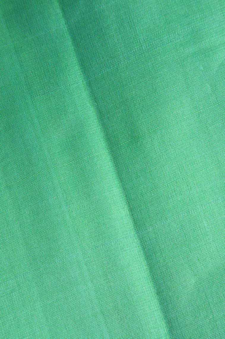 Mint Green Soft Silk Saree with Silver Zari Floral Patterns view 3