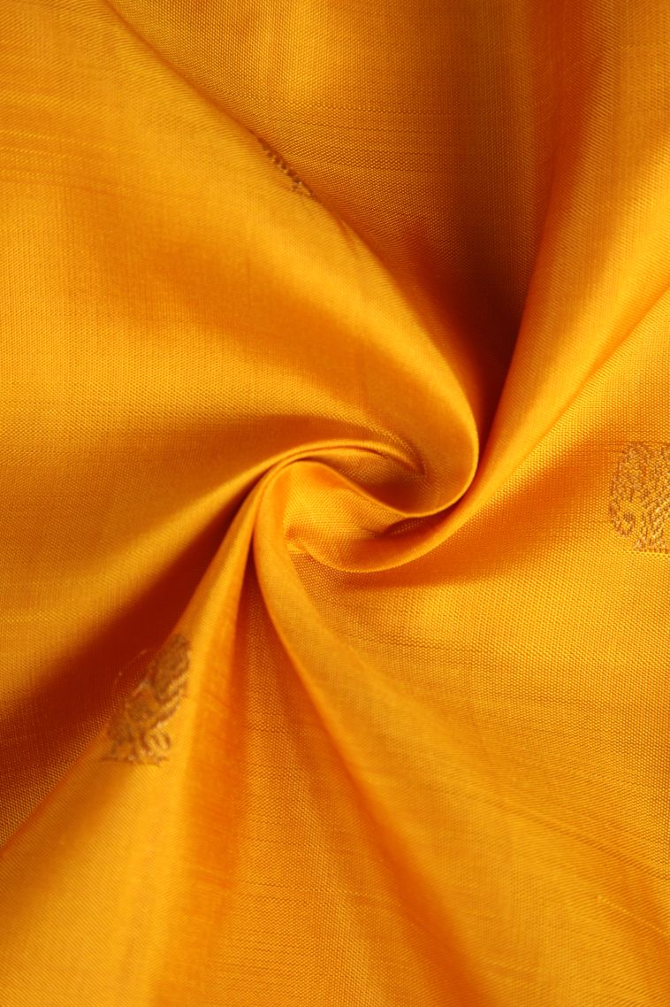 Honey Orange Kanchipuram Silk Sarees with Gold Zari Eliphant Mottif view 4