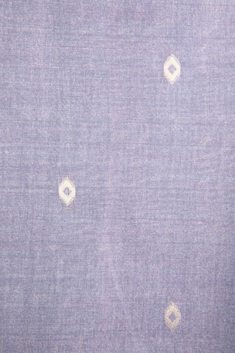 Daffane Blue Tussar Saree with Antic Zari Floral Puttas view 3