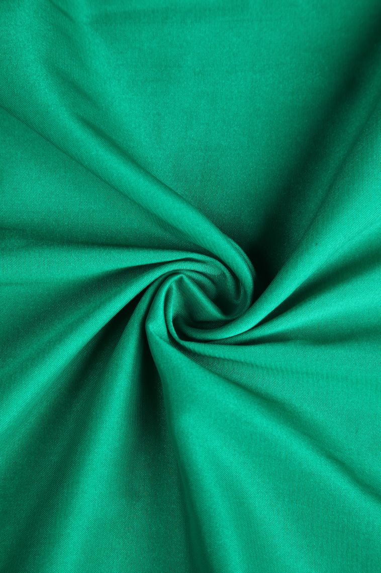 Mint Green Fancy Saree with Gold Zari Plain view 4