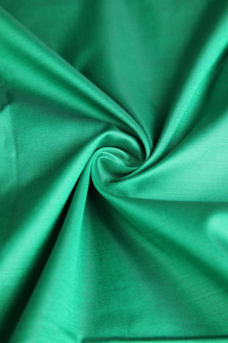 Seafoam Green Apoorva Silk Sarees with Gold Zari Plain view 4