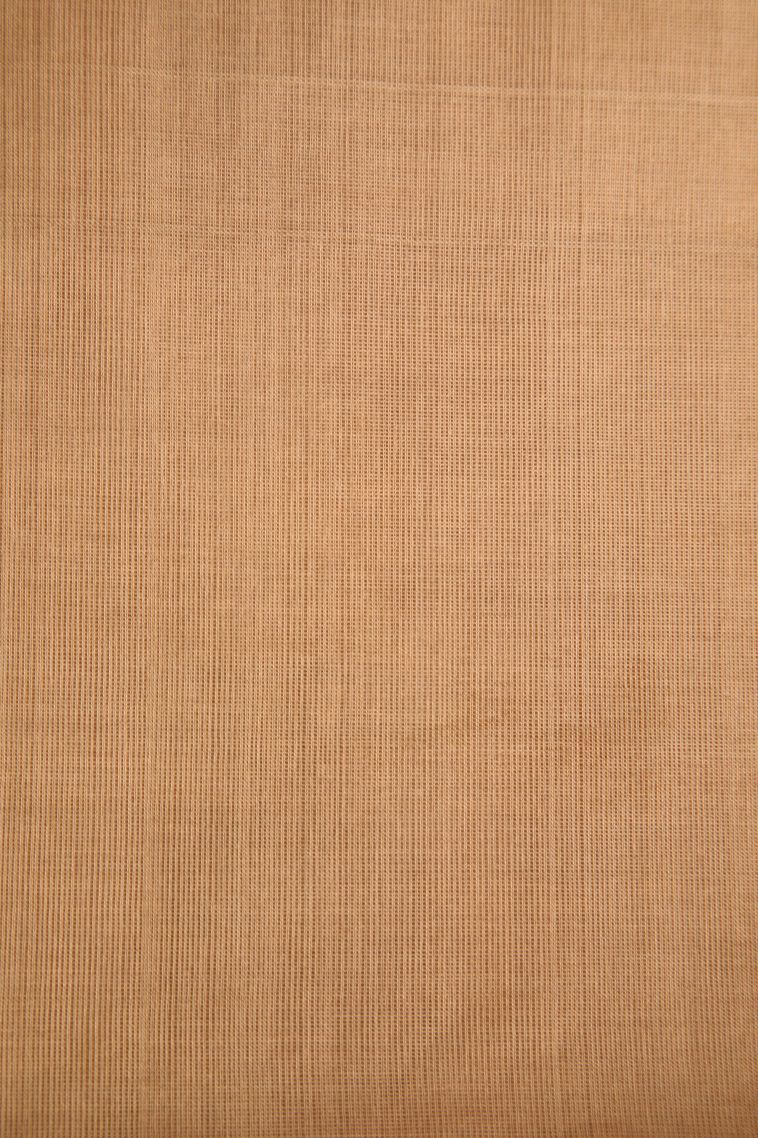 Ivory White Pure Handloom Kovai Cotton with Without Zari Zari Leaf Pattern view 3