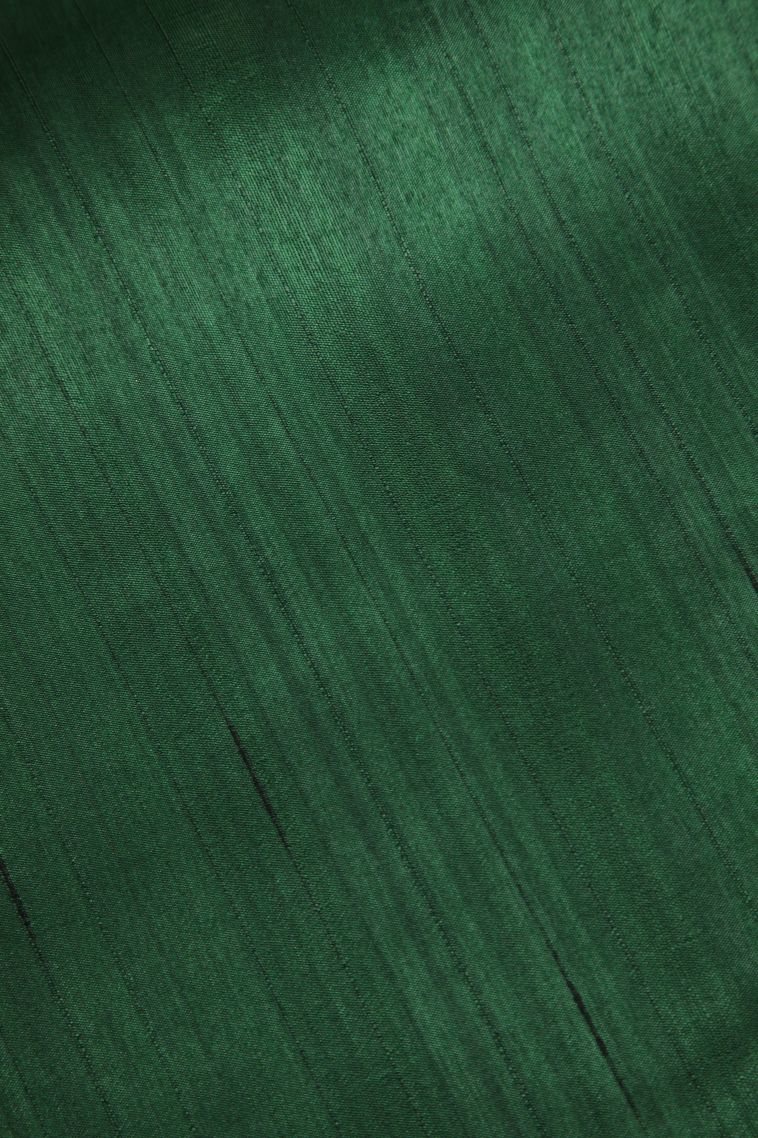 Basil Green Semi Tussar Silk with Without Zari Zari Embroidary view 3