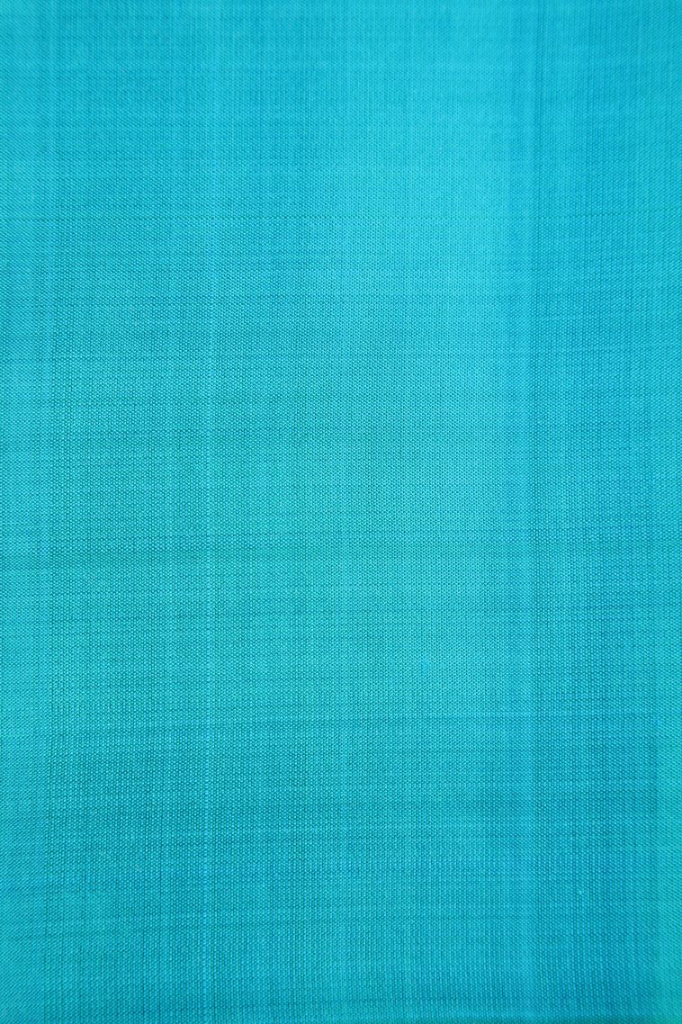Sky Blue Soft Silk Saree with Silver Zari Leaf Pattern view 3
