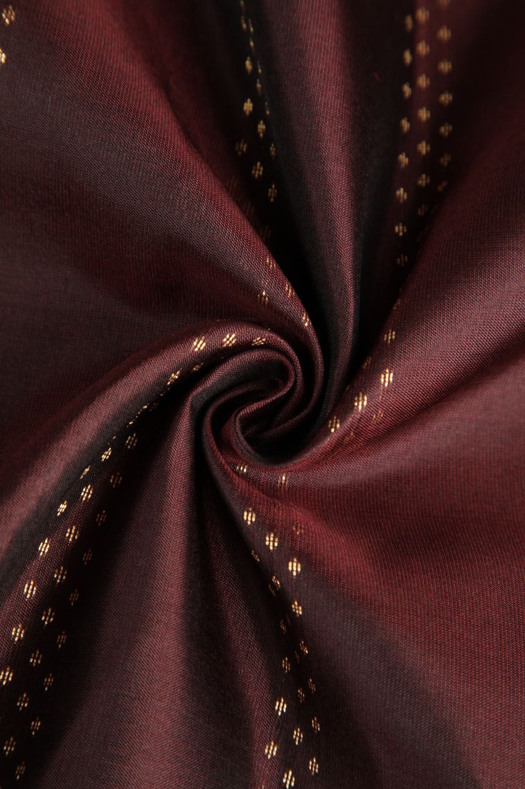 Cinnamon Brown Soft Silk Saree with Gold Zari Floral Puttas view 4