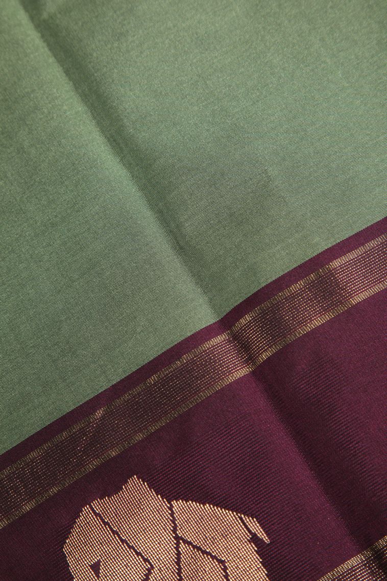 Sage Green Arani Silk Sarees Gold Zari with Buttis (small Dots Or Motifs) view 3