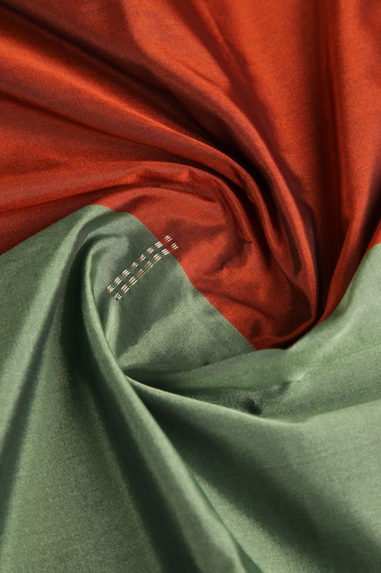 Sage Green Arani Silk Sarees Gold Zari with Buttis (small Dots Or Motifs) view 4