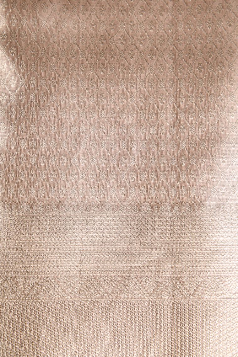 Coconut White Kanchipuram Silk Sarees with Silver Zari Leaf Pattern view 3