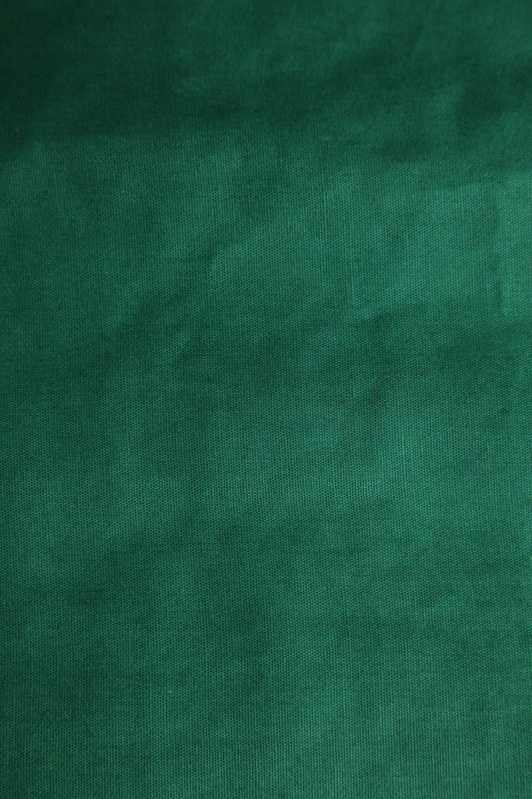 Basil Green Manipuri Cotton Sarees Without Zari with Floral Patterns view 3