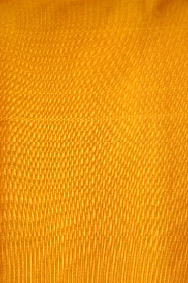 Berry Blue Soft Silk Saree with Gold Zari Buttis (small Dots Or Motifs) view 3
