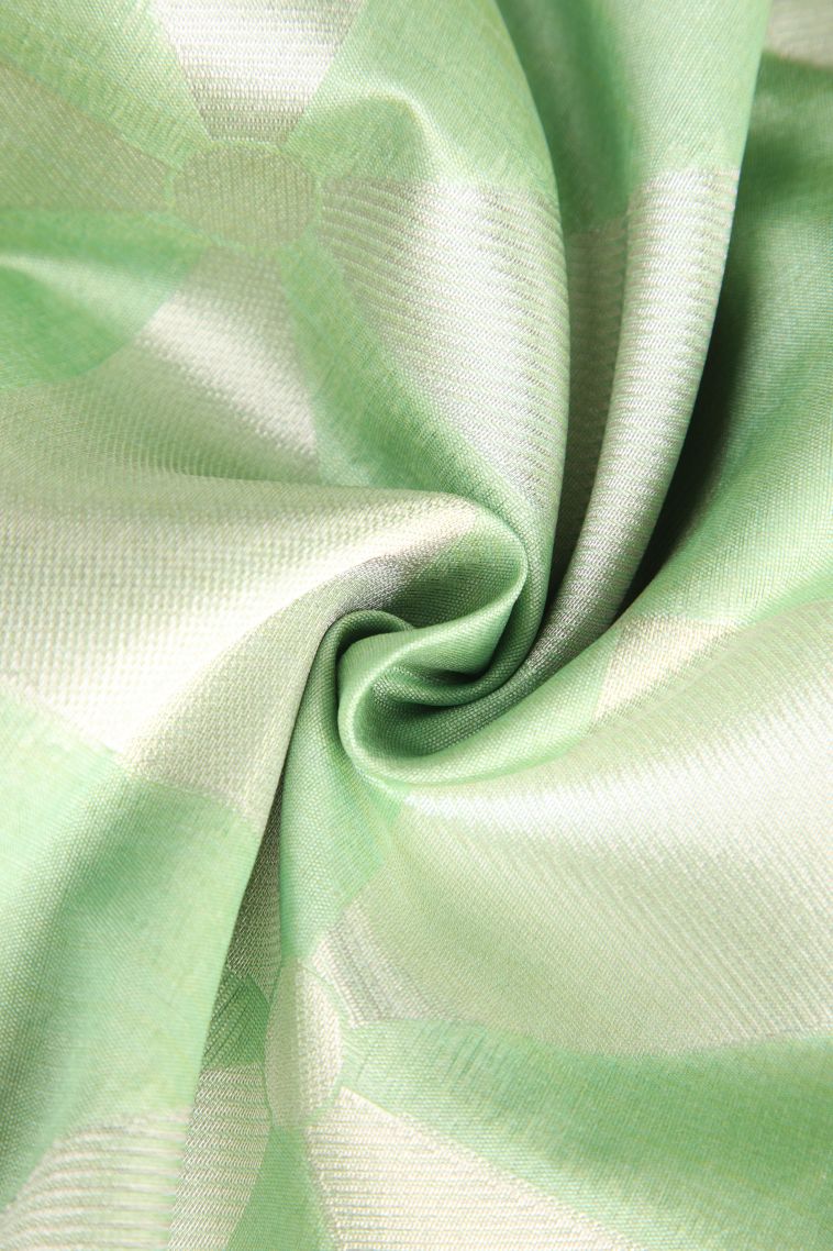 Pista Green Semi Tussar Silk with Silver Zari Geometric Shapes view 4