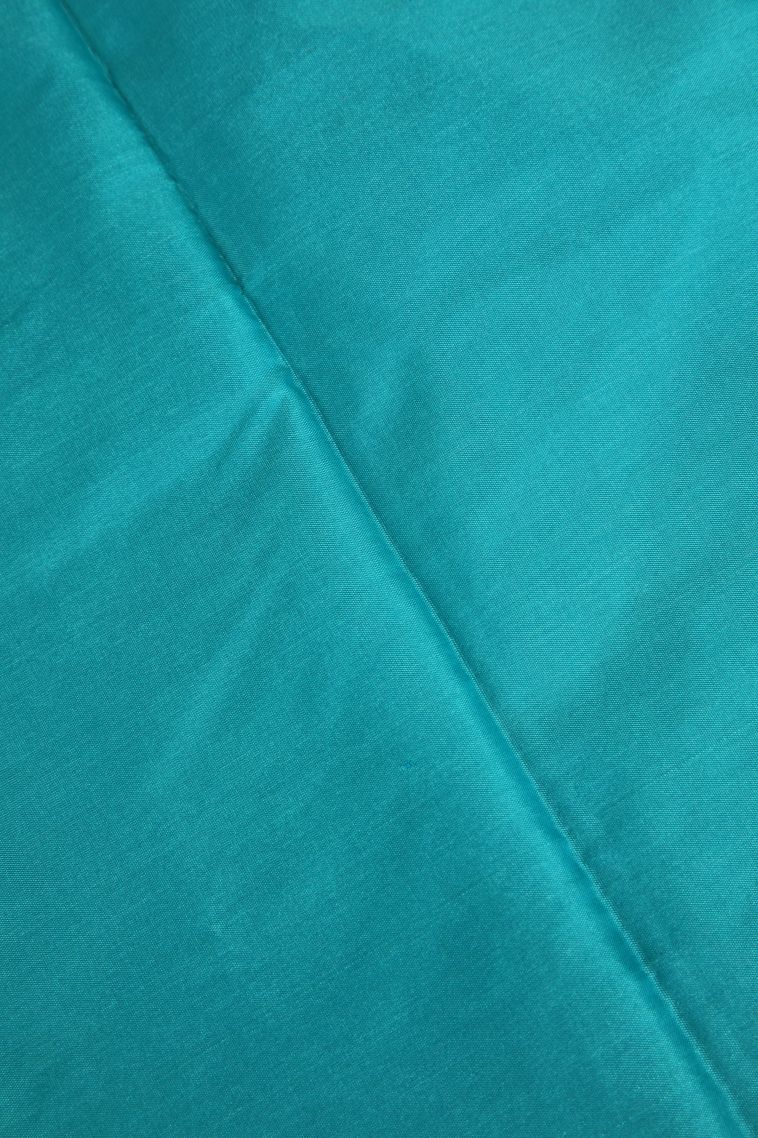 Sky Blue Arani Silk Sarees Silver Zari with Birds Mottif view 3