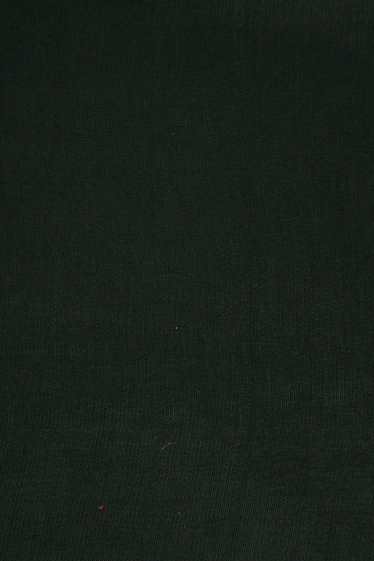 Bottle Green Banaras Sarees with Silver Zari Buttis (small Dots Or Motifs) view 3