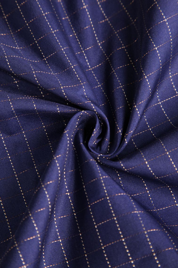 Azure Blue Arani Silk Sarees Gold And Silver Zari with Checks view 4