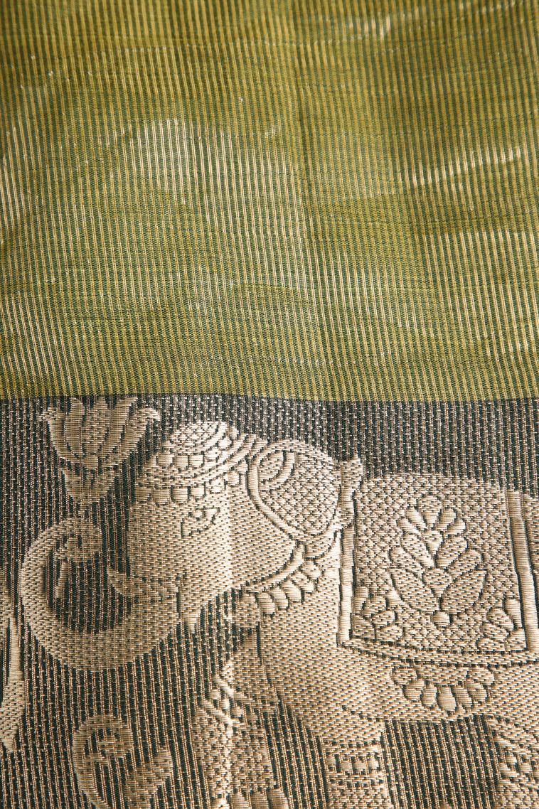 Paris Green Organza Saree with Silver Zari Floral Patterns view 3