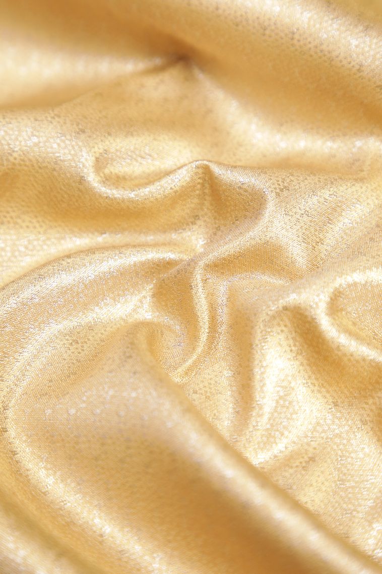 Sepia Yellow Apoorva Silk Sarees with Gold And Silver Zari Buttis (small Dots Or Motifs) view 4