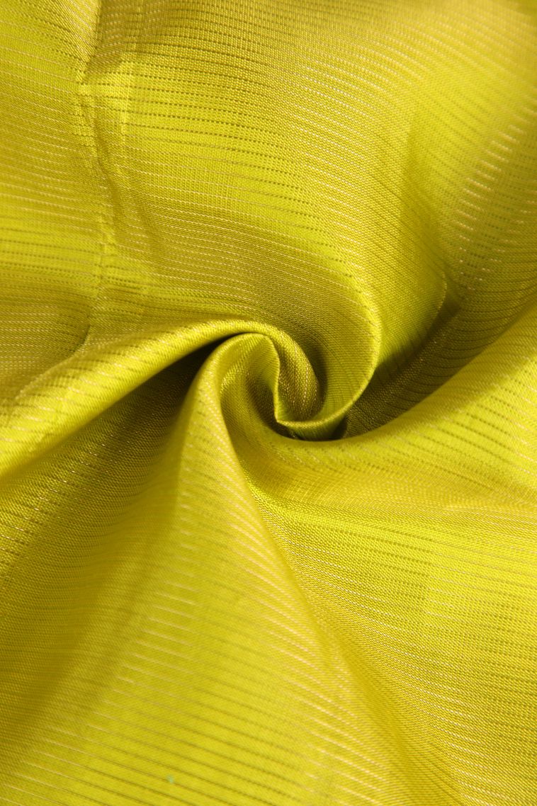 Lime Yellow Soft Silk Saree with Gold And Silver Zari Cross Straipes view 4