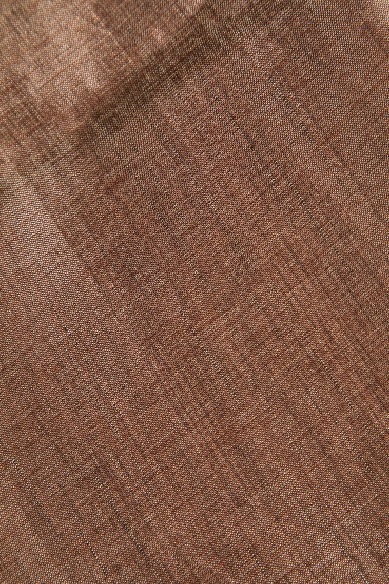 Tawny Brown Semi Tussar Silk Gold And Silver Zari with Zari Stripes view 3
