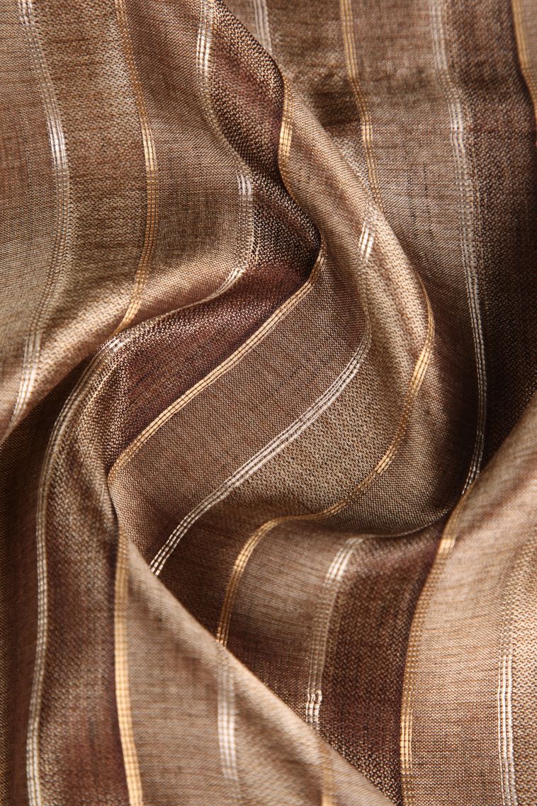 Tawny Brown Semi Tussar Silk Gold And Silver Zari with Zari Stripes view 4