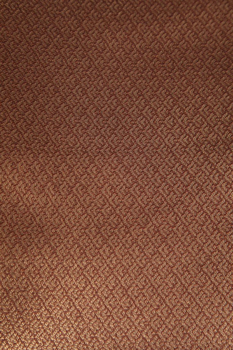 Rust Orange Raw Silk Sarees with Gold Zari Leaf Pattern view 3