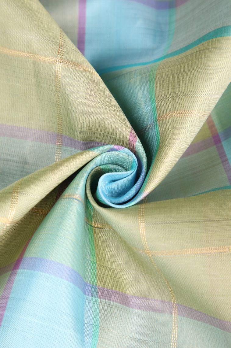 Sky Blue Kanchipuram Silk Sarees Gold Zari with Checks view 4