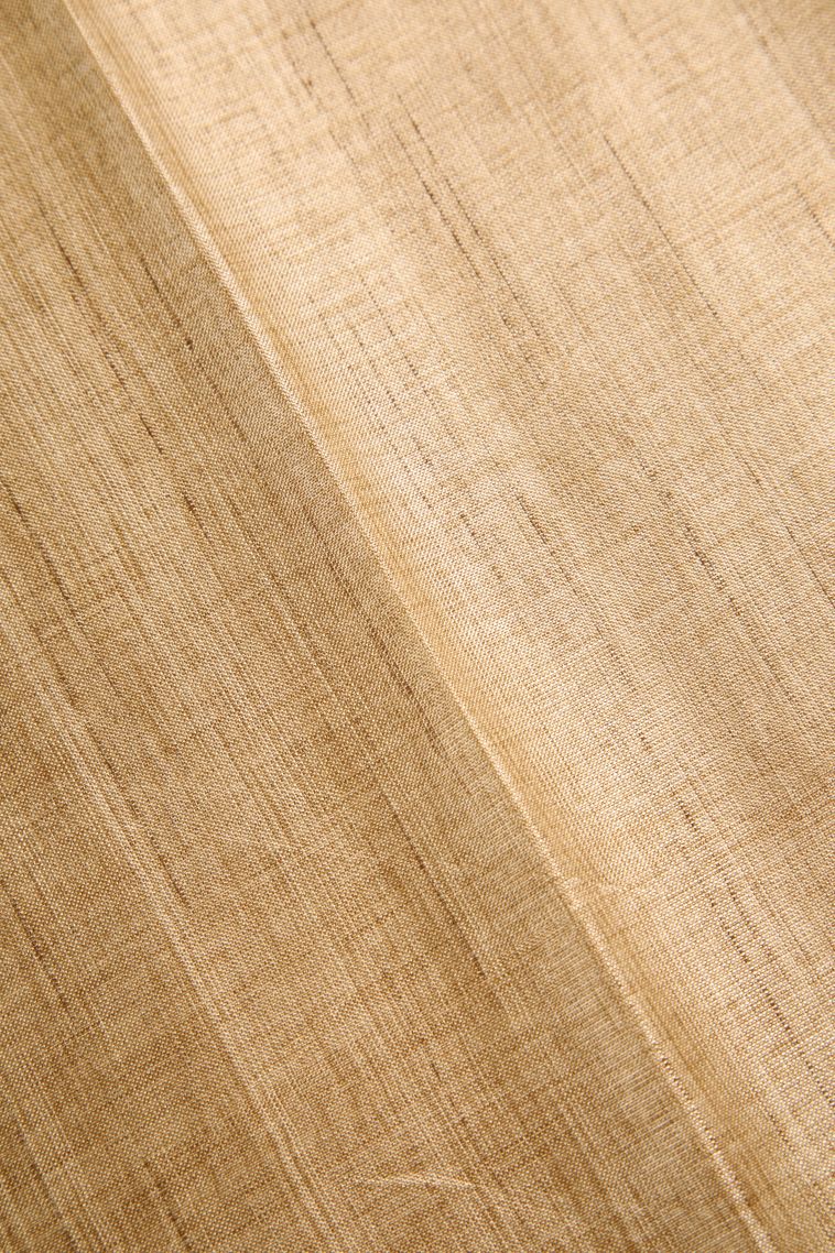 Oat Yellow Semi Tussar Silk Gold And Silver Zari with Zari Stripes view 3