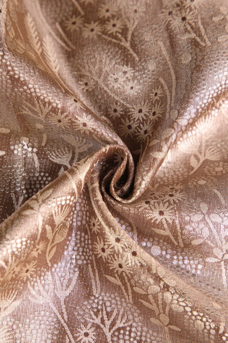 Tawny Brown Apoorva Silk Sarees with Gold And Silver Zari Floral Patterns view 4