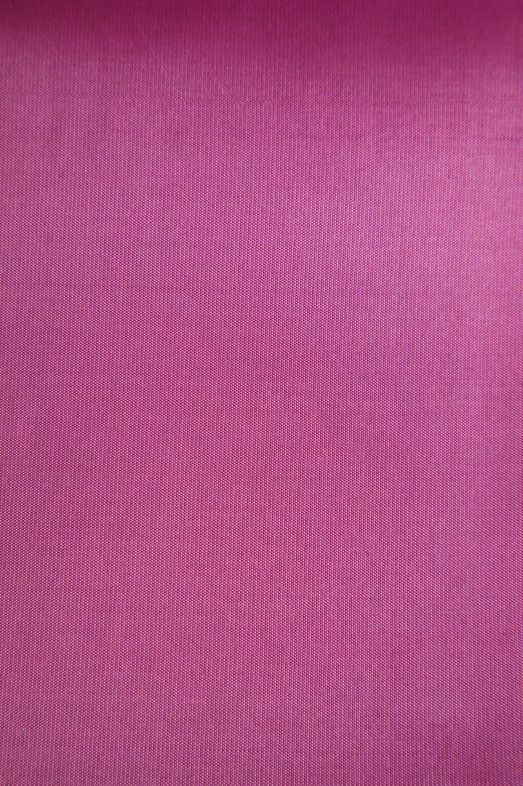 Watermelon Pink Soft Silk Saree with Gold Zari Leaf Pattern view 3
