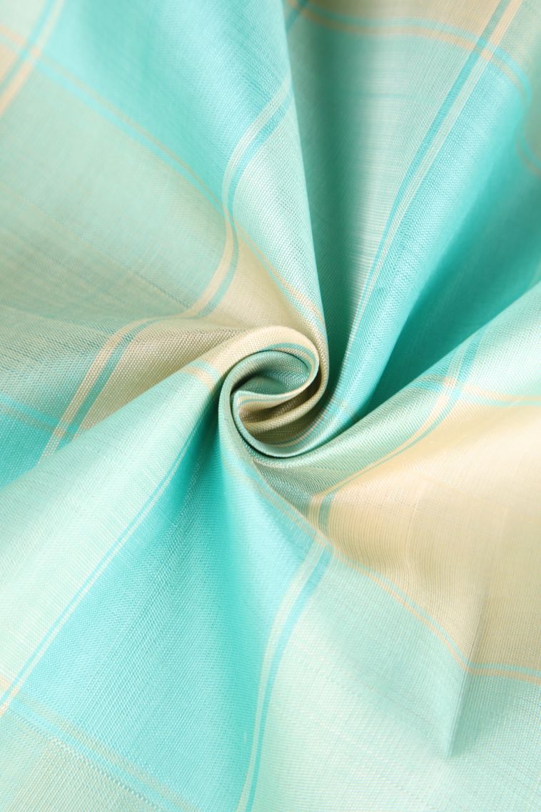 Arctic Blue Kanchipuram Silk Sarees Gold Zari with Checks view 4